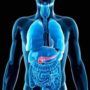 diabetic ans pancreas